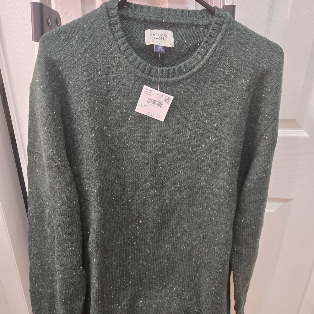 American Eagle Outfitters Men's Speckled Forest Sweater